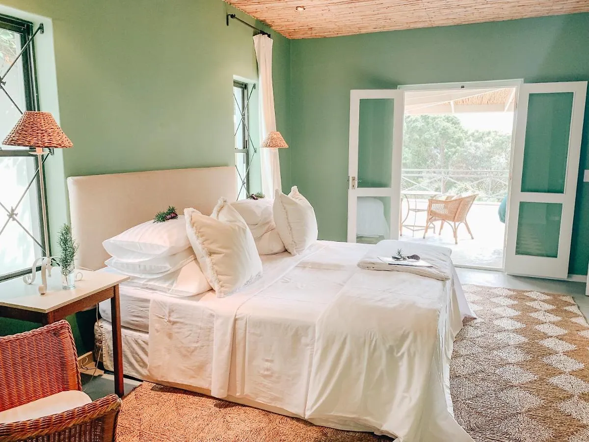 Bed and Breakfast Frogs Hill à Le Cap Afrique du Sud